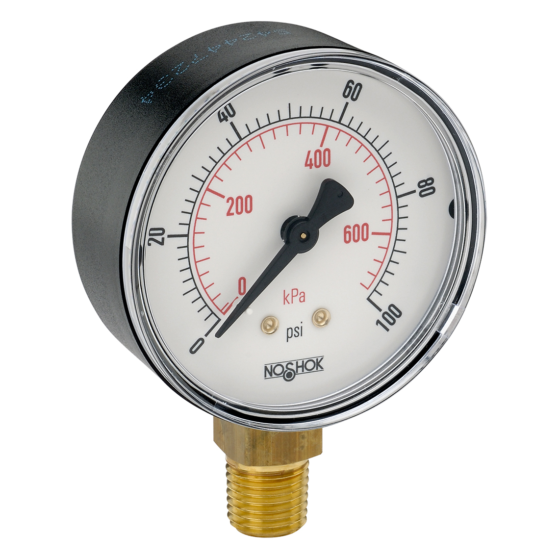 NOSHOK® 25-100-30/30-psi/kPa-BP3