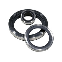 Lip Seals