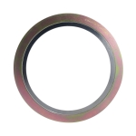Teadit® 913-304FG-2IN-150#
