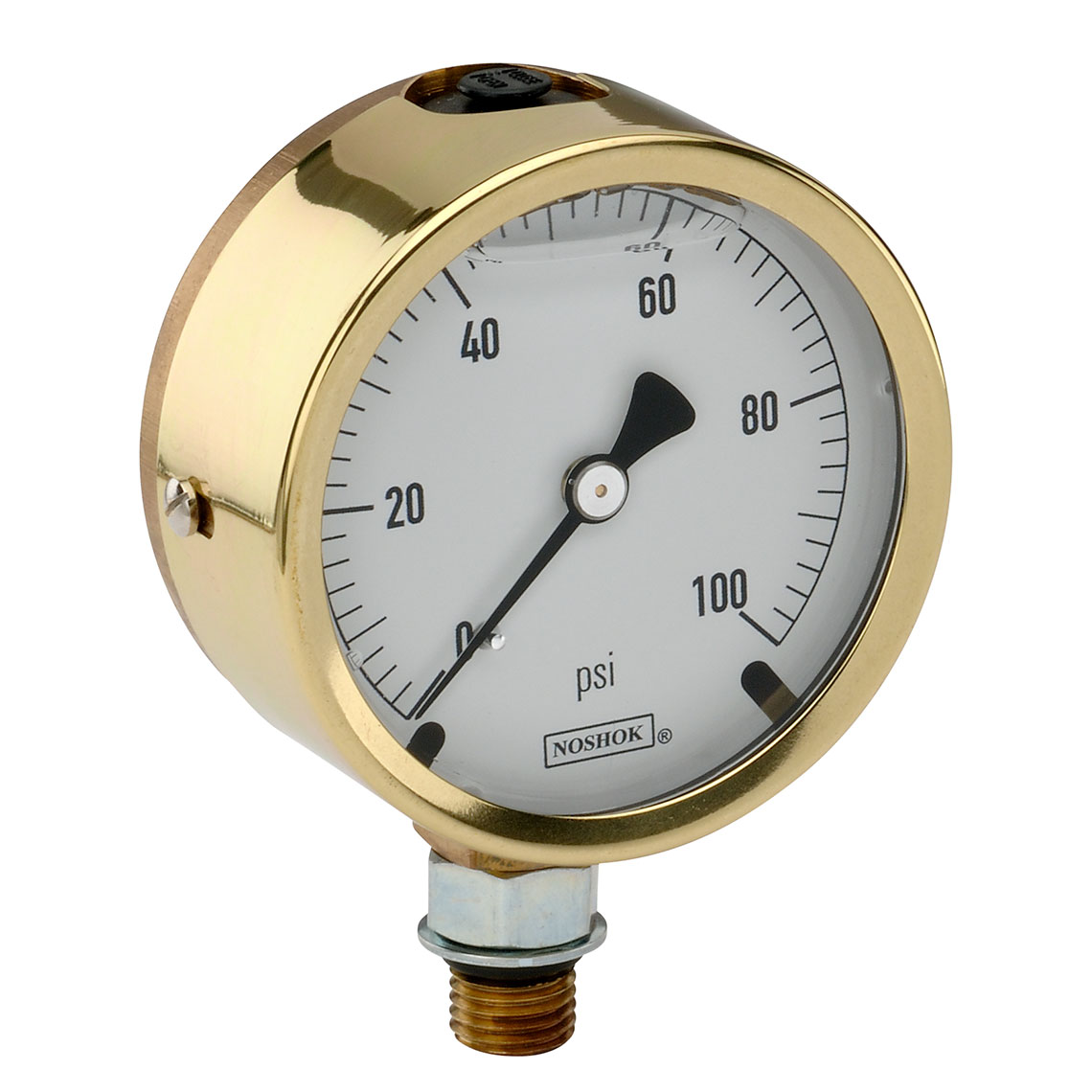 NOSHOK® 25-300-SST-30-vac/bar-BT8