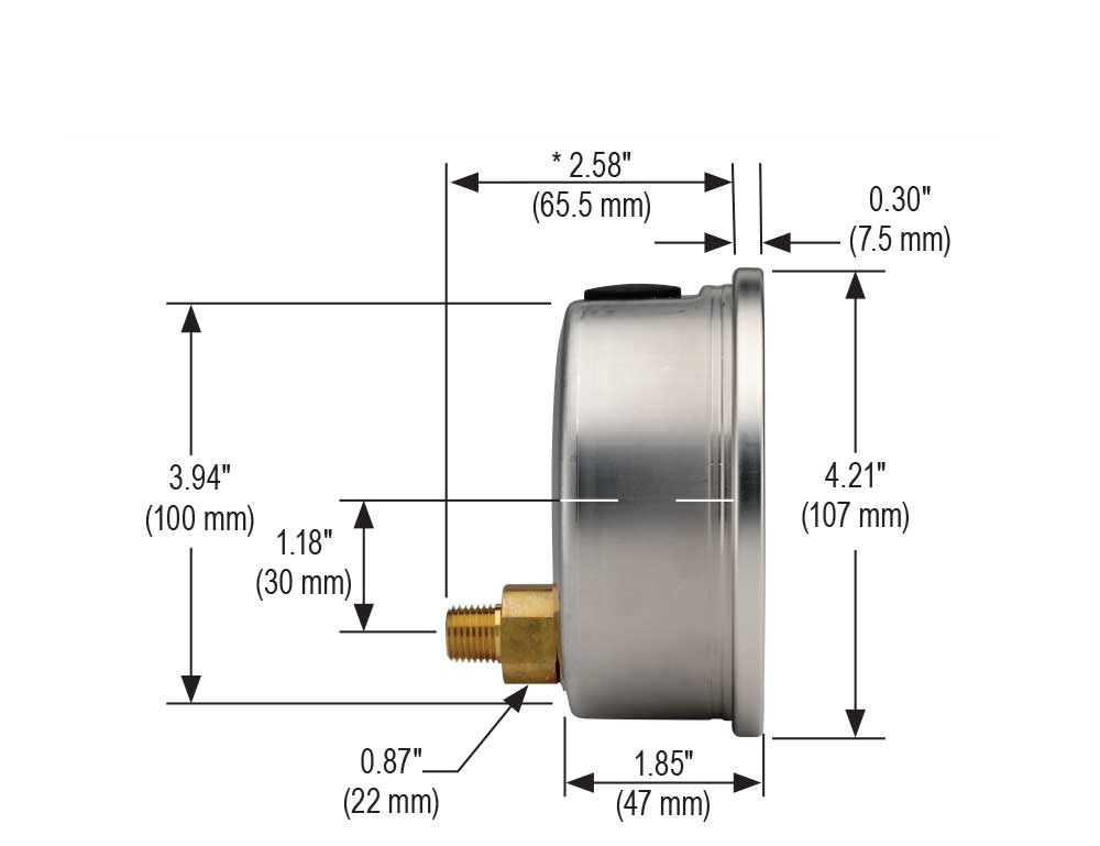 NOSHOK® 40-911-5000-psi/bar-SSFF