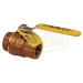 Dixon® BBV100FP