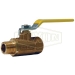 Dixon® BMV100