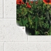 Gorilla® 102745