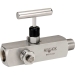 NOSHOK® 304-MFS-P1