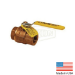 Dixon® BBV100FP