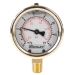 Stauff® WPG-063-01000-05-S-N04